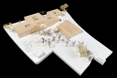 01-WBW-Bamberg-Dreibund